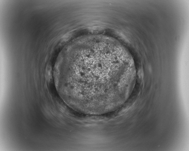 X0000086030963200704091129