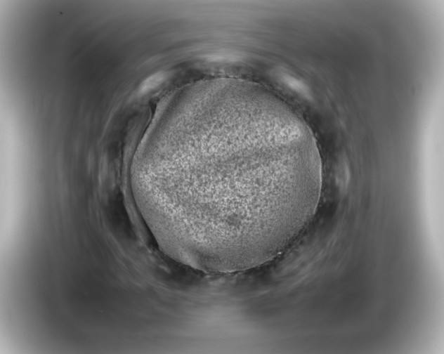 X0000086030965200704091129