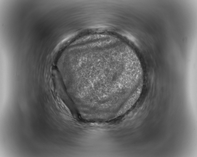 X0000086030967200704091129