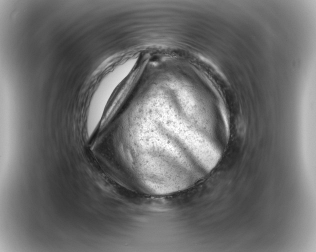 X0000086030968200704091129