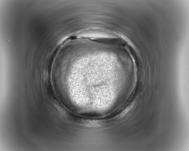 X0000086030969200704091129