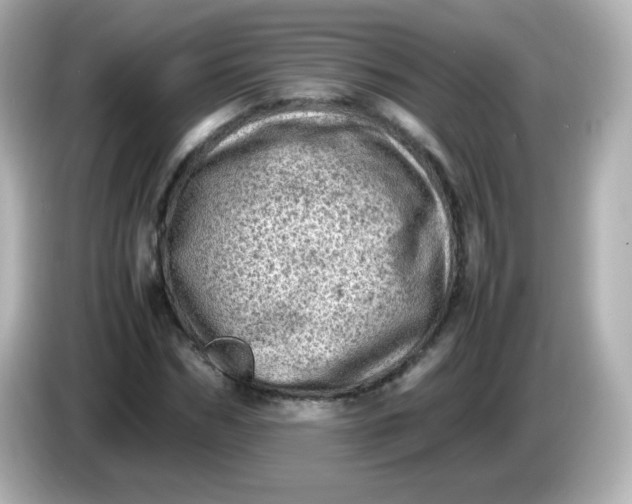 X0000086030970200704091129