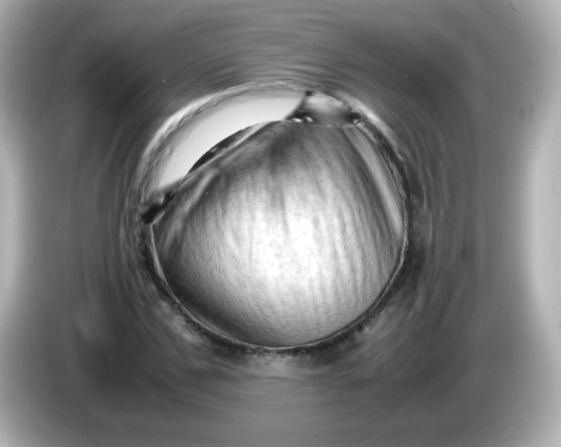 X0000086030971200704091129