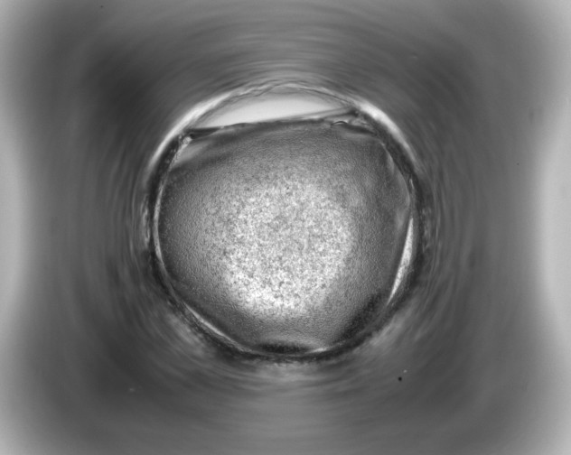 X0000086030973200704091129