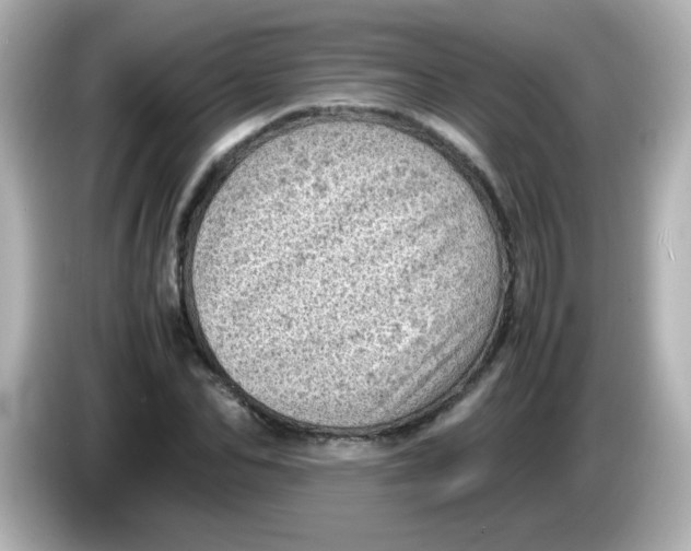 X0000086030974200704091129