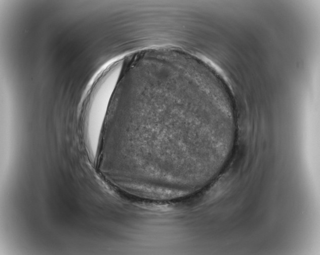 X0000086030975200704091129