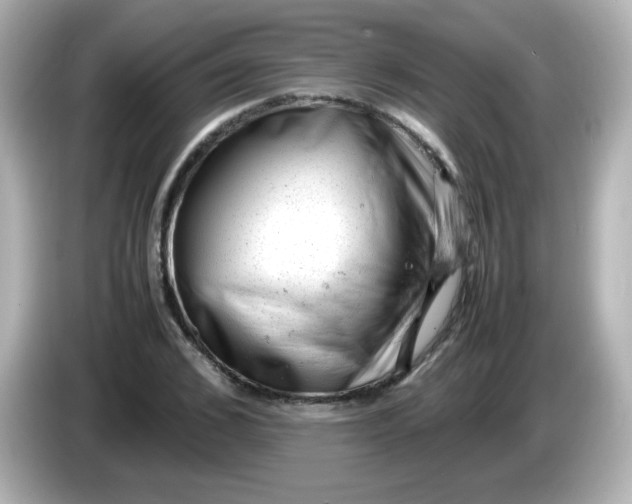 X0000086030976200704091129