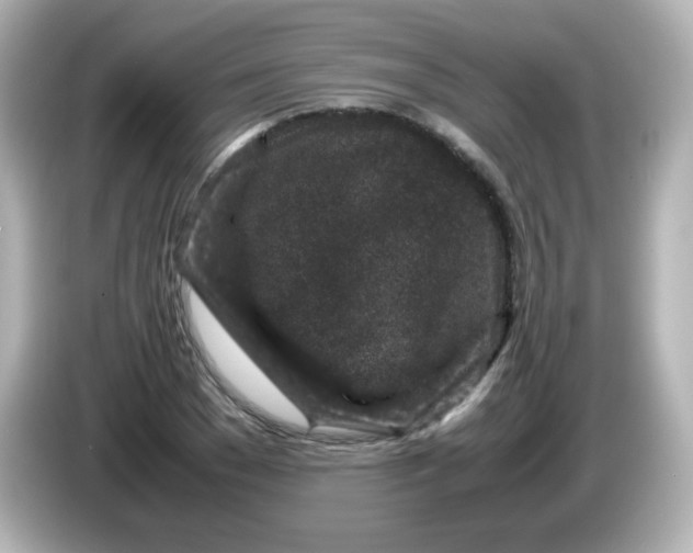 X0000086030977200704091129