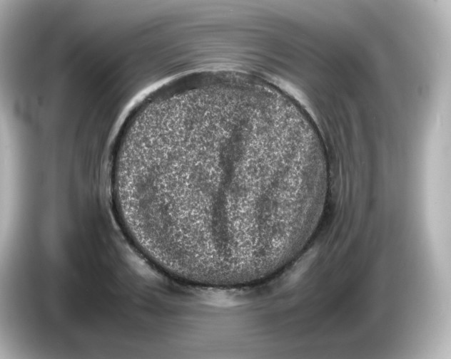 X0000086030987200704091129