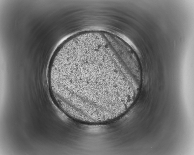 X0000086030988200704091129