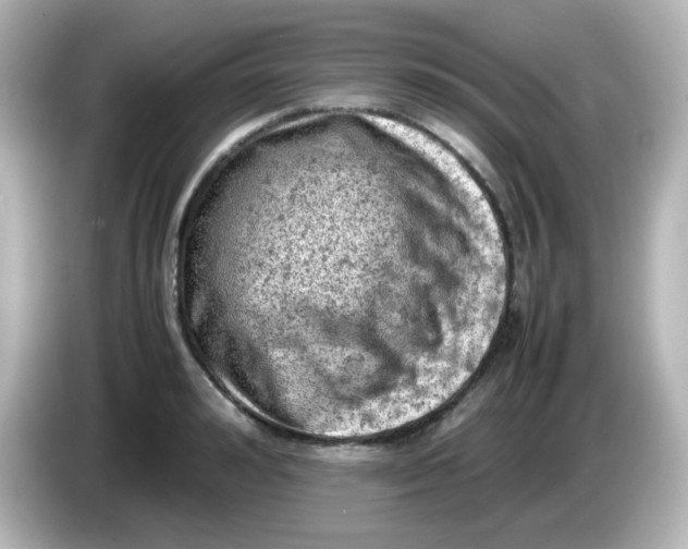 X0000086030992200704091129