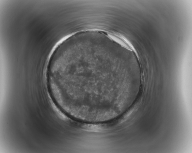 X0000086030995200704091129