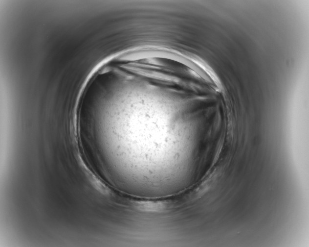 X0000086030996200704091129