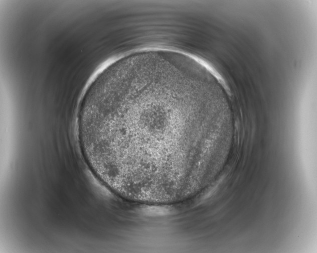 X0000086030998200704091129