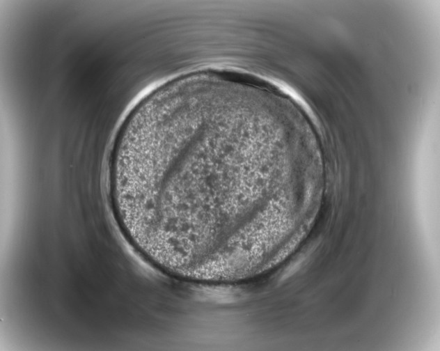 X0000086030999200704091129