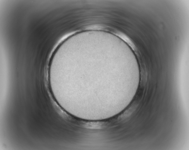 X0000086031000200704091129