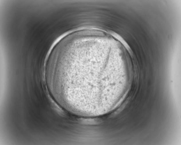 X0000086031004200704091129