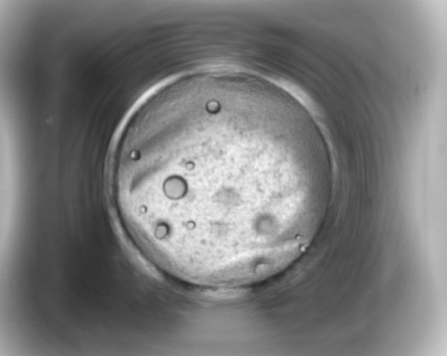 X0000086031008200704091129