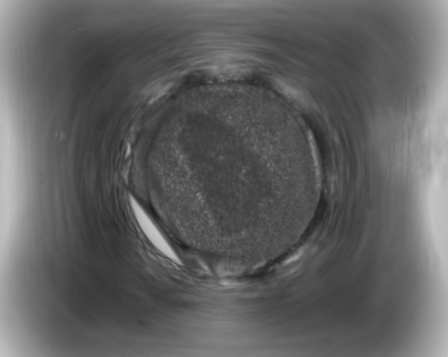 X0000086031010200704091128