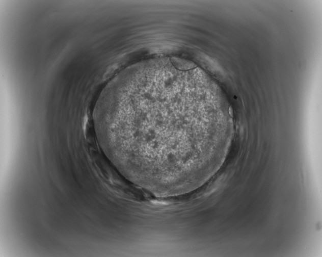 X0000086031012200704091128