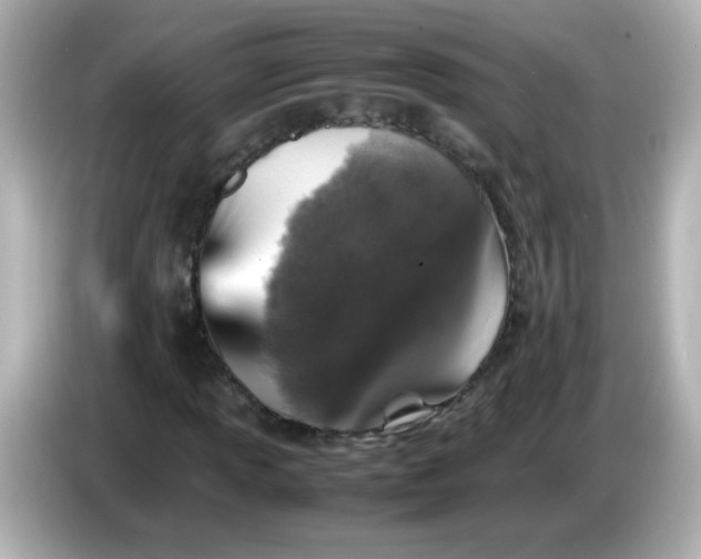 X0000086031013200704091128