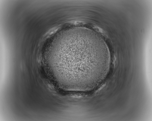 X0000086031014200704091128