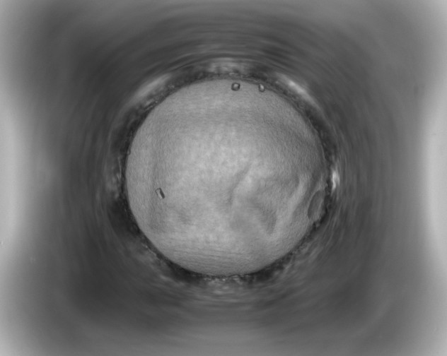 X0000086031015200704091128