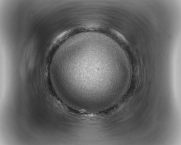 X0000086031016200704091128