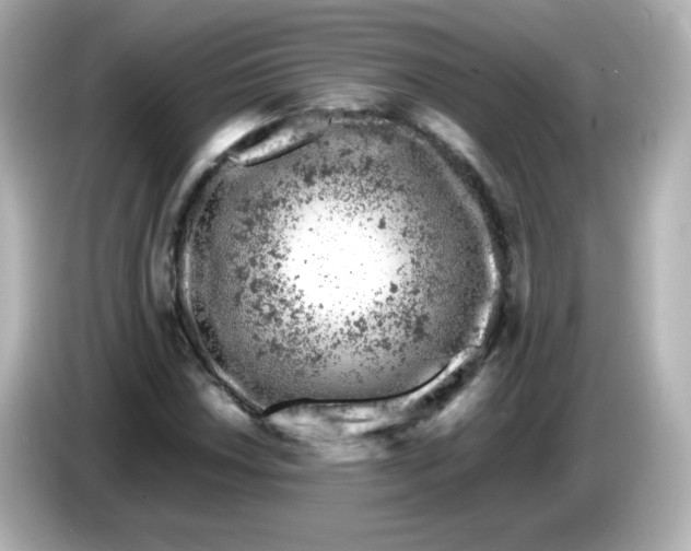 X0000086031018200704091128