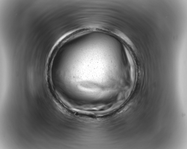 X0000086031020200704091128