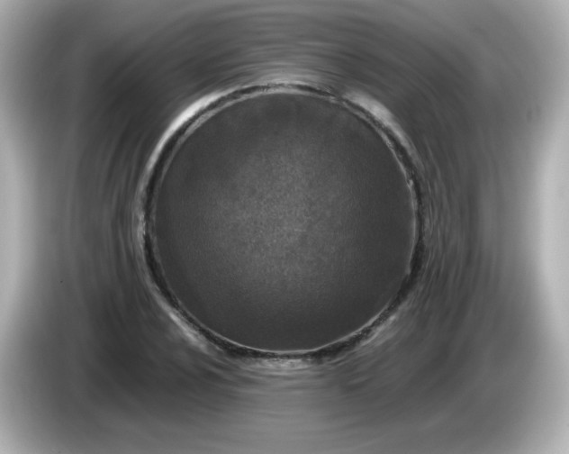 X0000086031024200704091128