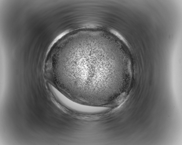 X0000086031026200704091128