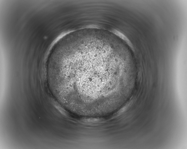 X0000086031027200704091128