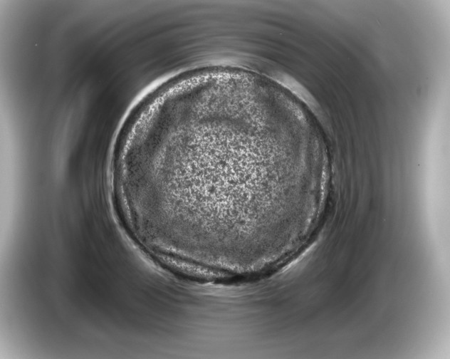 X0000086031028200704091128