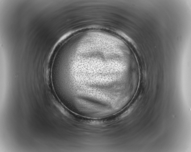 X0000086031029200704091128