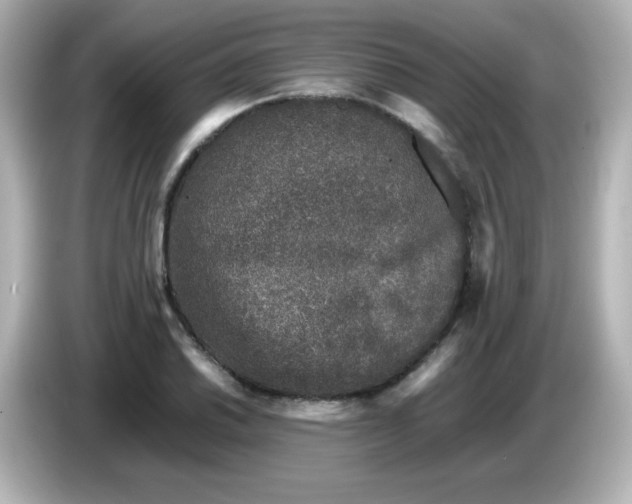 X0000086031030200704091128