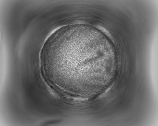 X0000086031031200704091128