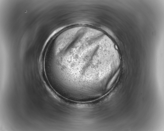 X0000086031032200704091128