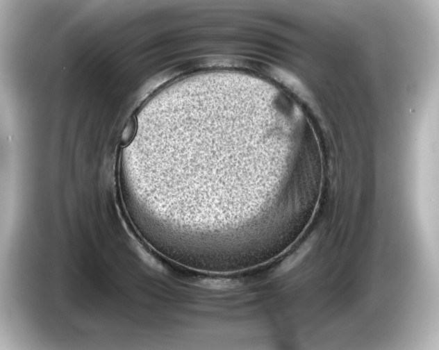 X0000086031033200704091128