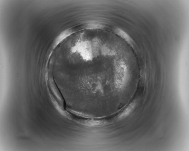 X0000086031034200704091128