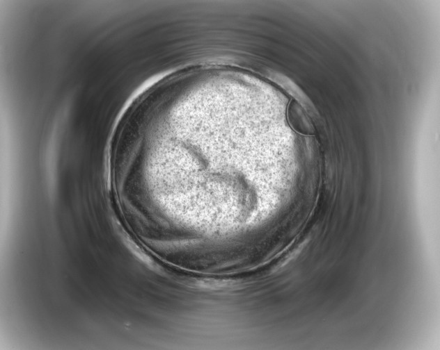 X0000086031036200704091128