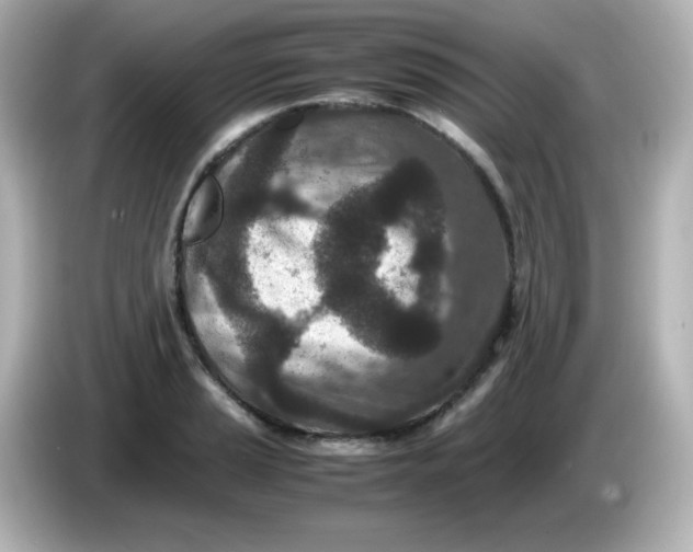 X0000086031037200704091128