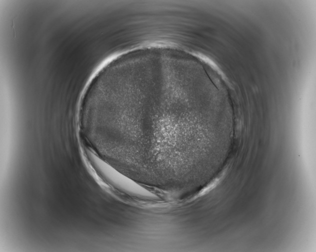 X0000086031038200704091128