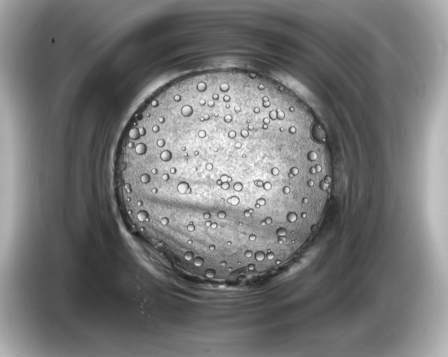 X0000086031039200704091128