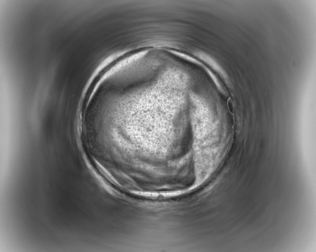 X0000086031040200704091128