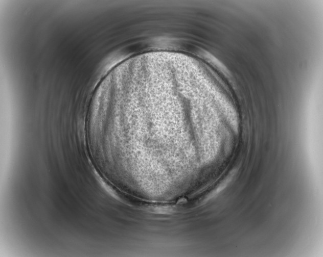 X0000086031041200704091128