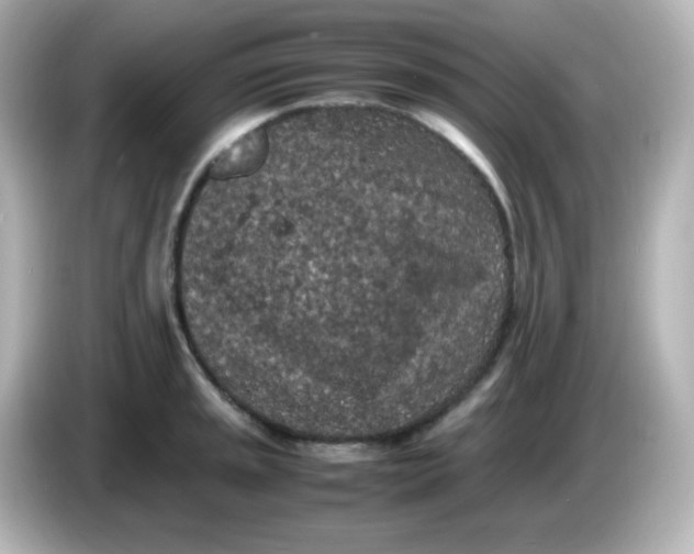 X0000086031045200704091129