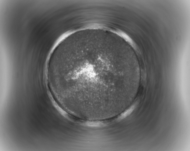 X0000086031046200704091129