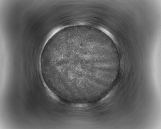 X0000086031047200704091129