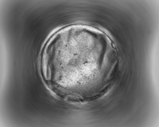 X0000086031048200704091129